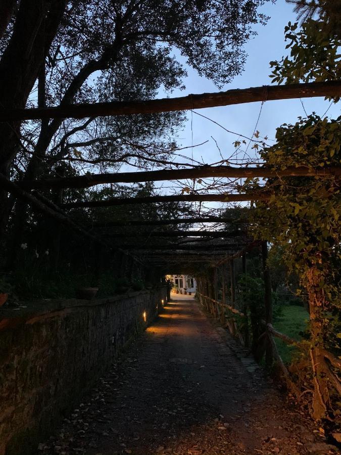 Bed and Breakfast Sunrise Luxury Experience Piano di Sorrento Exterior foto