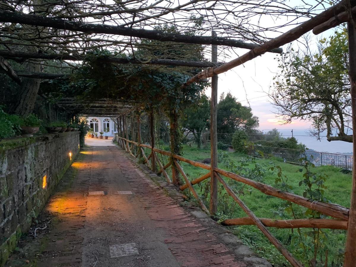 Bed and Breakfast Sunrise Luxury Experience Piano di Sorrento Exterior foto